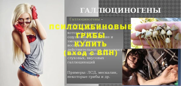 молекула духа Белоозёрский
