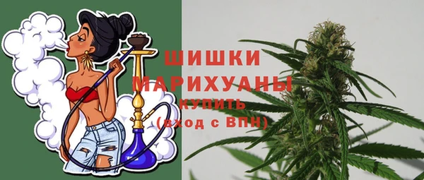 молекула духа Белоозёрский