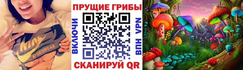 Псилоцибиновые грибы мицелий Великий Устюг