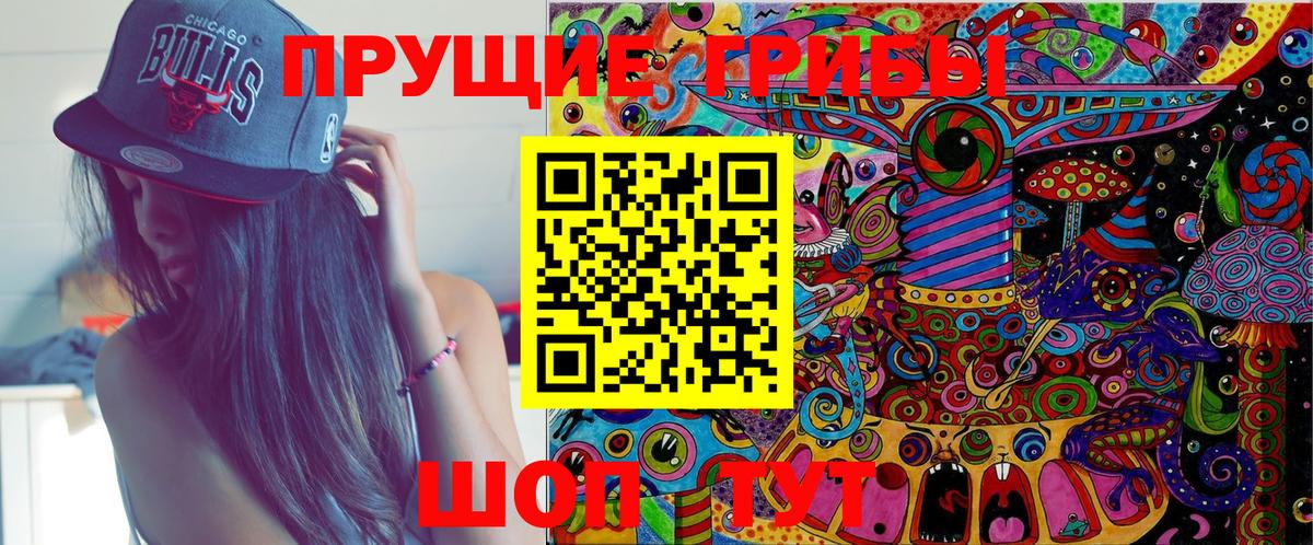Псилоцибиновые грибы Cubensis Великий Устюг